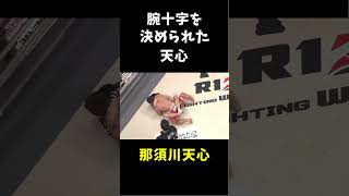 腕十字を極められた天心 #shorts #rizin #mma #那須川天心