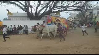 ugadi celebration kamareddy 2022 #kamareddy #ugadi#weekly market