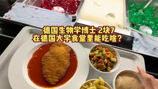 德国生物学博士2块7 在德国大学食堂里能吃啥？