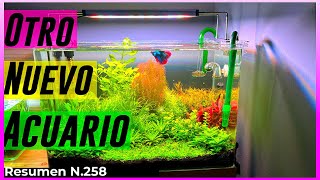 DUTCH AQUARIUM CHECK✔️ AQUARIUM 240...COMING SOON / SUMMARY Nº258