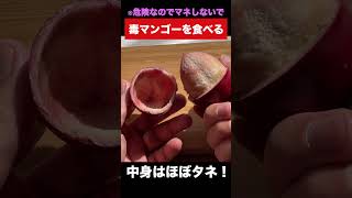 猛毒フルーツ『シーマンゴー』を食べる