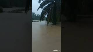 Flooded at Kluang (24.1.2023)