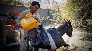 Donkey carrying heavy load on his back#donkey #animals #jenny