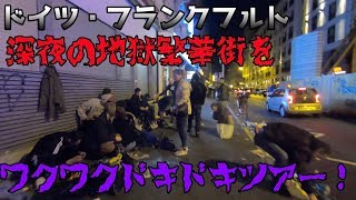 【ドイツ】夜のフランクフルト駅周辺が地獄すぎたのでワクワクドキドキツアー開催！