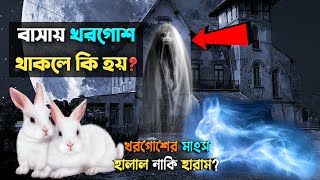 বাসায় খরগোশ থাকলে কি হয়? খরগোশের মাংস খাওয়া হালাল নাকি হারাম? খরগোশের কিছু অজানা রহস্য