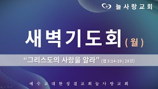 [부천늘사랑교회] 22.09.12 | 새벽기도회 | 엡 3:14-19 | 그리스도의 사랑을 알라 | 에베소서 강해(28강) | 강명국 목사