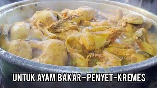 🔴UNGKEP AYAM 20 EKOR UNTUK JUALAN COCOK BAGI PEMULA