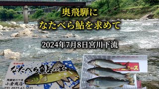 奥飛騨になたべら鮎を求めて。宮川下流。