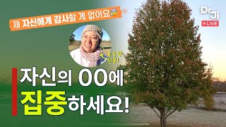 Vlog 우리집 뒷마당으로 초대합니다^^