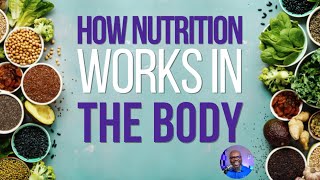 How Nutrition Works In The Body