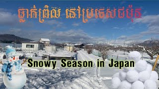 ព្រិលធ្លាក់ Snowy Season