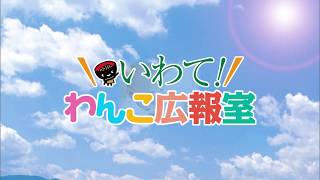 【いわて！わんこ広報室】 第25回「ラグビーワールドカップ2019™釜石開催！　～大会に向けて、オール岩手で盛り上げよう！～」