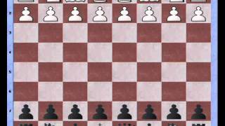 Bastiaan versus Chessmaster grandmaster edition: revisiting the Zaire system