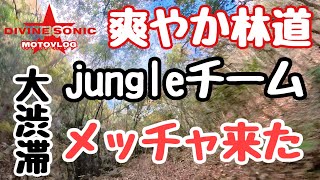 【モトブログ372】Divine Sonic 爽やか林道コラボ・jungleチームめっちゃ来た