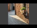 The Stone Path at My Toes