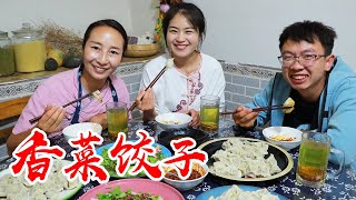 【丹霞春姐】地里拔点香菜，春姐做牛肉香菜馅饺子，鲜香美味，弟弟一口一个吃不停