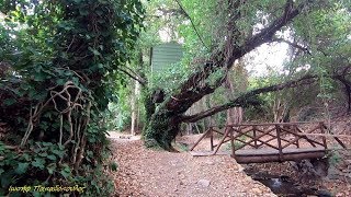 ΤΟ ΕΚΠΛΗΚΤΙΚΌ ΜΟΝΟΠΑΤΙ ΚΑΙ ΤΟ ΣΚΑΝΔΑΛΟ ΤΟΥ ΤΡΥΠΙΟΥ ΦΡΑΓΜΑΤΟΣ ΒΑΛΣΑΜΙΩΤΗ