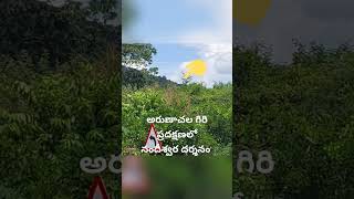 అరుణాచల గిరిప్రదక్షణలో నందీశ్వర దర్శనం#arunachalam #arunachalashiv #giripradakshina #tiruvannamalai