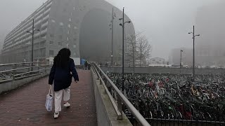 ⁴ᴷ⁶⁰ Walking Rotterdam in fog: Kijk-Kubus Museum-house to Depot Boijmans Van Beuningen