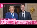 【トランプ氏】NATO事務総長と会談  ウクライナ情勢について協議か