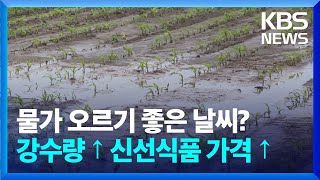 [오늘 이 뉴스] “강수량 100mm 늘면 신선식품 0.93%p 올라…기후변화가 단기 물가에 영향” / KBS  2024.05.09.