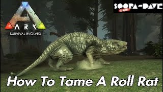 How To Tame A Roll Rat Ark Survival Evolved Aberration Guide