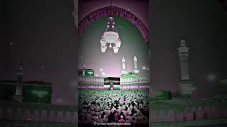 Allah Janta Hai Mohammad Ka Martaba qawwali whatsaap status#qawwali #shotrs #viral