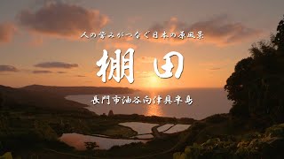 棚田PR動画（長編）