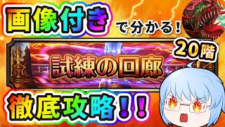 【グラサマ】諦めないで！！《試練の回廊》20階、徹底攻略！！【試練の回廊】