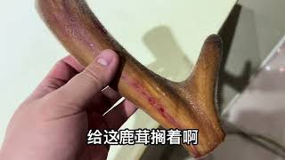 给绥化粉丝挑选200多克鹿茸，他要回家泡10斤酒，分享挑选全过程 #vlog #特产 #鹿茸