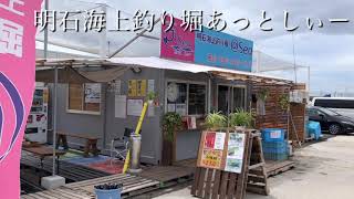 【あっとしぃー】楽しい明石の釣り掘♪fishingmax垂水店2021/08/21