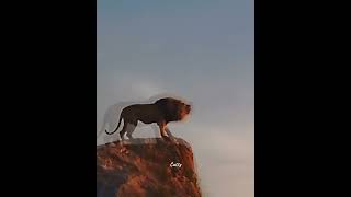 im actually proud of this one #lionking #mufasa #edit #ytshorts #fyp #boost