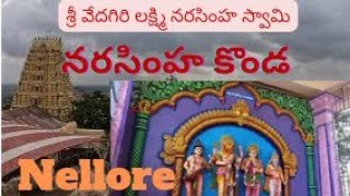 శ్రీ వేదగిరి లక్ష్మీ నరసింహ స్వామి | sri vedagiri Lakshmi narasimha swami Temple |  Nellore