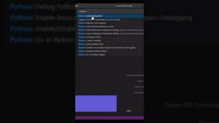Visual studio python interpreter