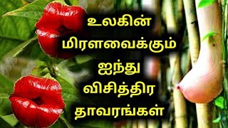 உலகின் ஐந்து விசித்திர தாவரங்கள் வீடியோ உள்ளே || Tamil Samrat