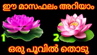 💫💫ഈ മാസം നിങ്ങളെ തേടി വരുന്ന സൗഭാഗ്യങ്ങൾ നോക്കാം മനസ്സ് പറയുന്ന പൂവിൽ തൊടു