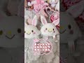 【キャンドゥ🎀】サンリオウィッシュミーメルのマスコット購入❤️ サンリオ キャンドゥ ウィッシュミーメル