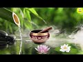 صوت خرير الماء و وعاء التبت للاسترخاء والتركيز اbamboo water fountain sound and tibetan sining bowls