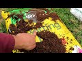 explaining bagged garden products u0026 how to make your own potting mix from them save a lot of money