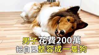 The Japanese man spent 2 million to turn himself into a dog. He said frankly that this was his life