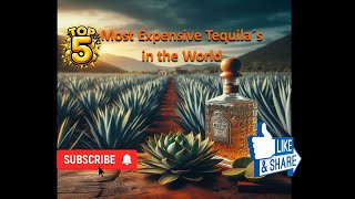 Top 5 Most Expensive Tequilas in the World.
