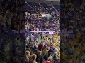 LSU Women’s Basketball Game Fun!