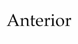 How to Pronounce Anterior