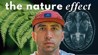 How Exactly Nature Changes Your Brain