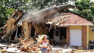 Dangerous Fastest Idiots Cutting Tree Files | Tree Falling on Houses  #30