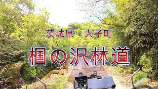 【茨城県】椢の沢林道【大子町】