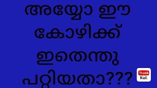 അയ്യോ ഈ കോഴിക്ക് ഇതെന്തു പറ്റി??? #shorts#shortsfeed #funnyshorts #trendingshorts