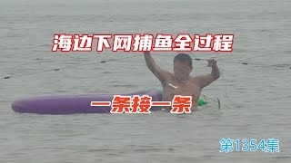 海边下网捕鱼全过程，一条接一条这样的房车生活谁能不爱