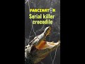 Serial killer crocodile #shorts