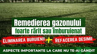 Gazon rărit sau îmburuienat? Eliminarea buruienii și refacerea rapidă a desimii gazonului